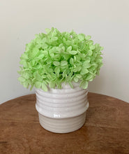 Load image into Gallery viewer, Mighty Mini's are created using preserved hydrangeas and displayed in ceramic pot. These are ideal little arrangements for a coffee table or as a centre piece displaying three along the table. $19.95 each or 3 for $55. Please specify colours in notes for 3 pack if wanting mixed colours.Approx size is 16cm x 12cm including pot.Delivery Sutherland Shire. Delivery Sydney. Delivery Australia wide.