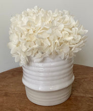 Load image into Gallery viewer, Mighty Mini's are created using preserved hydrangeas and displayed in ceramic pot. These are ideal little arrangements for a coffee table or as a centre piece displaying three along the table. $19.95 each or 3 for $55. Please specify colours in notes for 3 pack if wanting mixed colours.Approx size is 16cm x 12cm including pot.Delivery Sutherland Shire. Delivery Sydney. Delivery Australia wide.