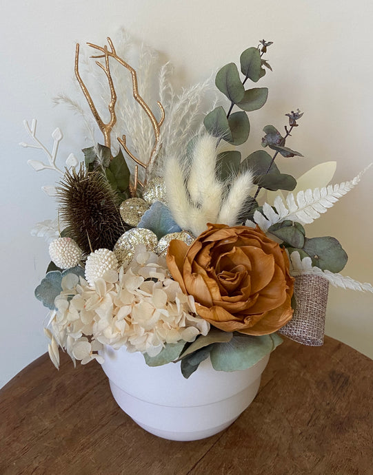 Mini Autumn is created using dried, preserved and faux flowers and is displayed in a white ceramic pot. This golden cream mini is a cute little pot arrangement. Its also a great size for Nursing Homes and Hospitals. Approx size is 25cm x 20cm including pot. Sutherland Shire Delivery. Sydney Delivery. Australia wide delivery.